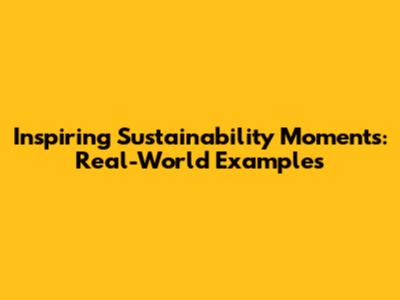 Inspiring Sustainability Moments: Real-World Examples