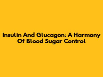 Insulin And Glucagon: A Harmony Of Blood Sugar Control