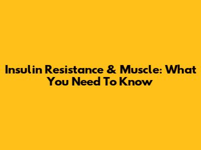 Insulin Resistance & Muscle: What You Need To Know