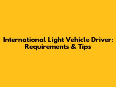 International Light Vehicle Driver: Requirements & Tips