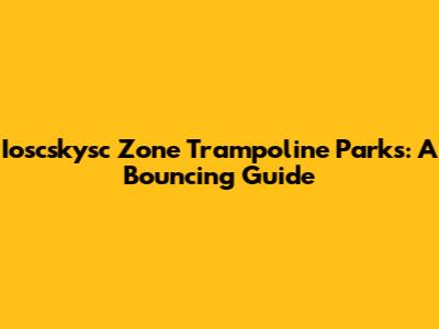 Ioscskysc Zone Trampoline Parks: A Bouncing Guide