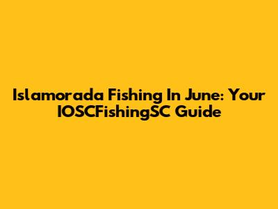 Islamorada Fishing In June: Your IOSCFishingSC Guide