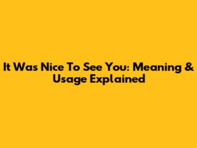 It Was Nice To See You: Meaning & Usage Explained
