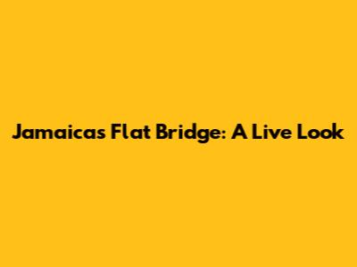 Jamaica's Flat Bridge: A Live Look