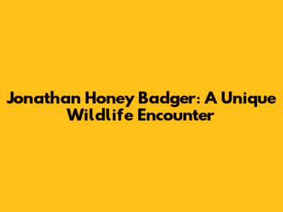 Jonathan Honey Badger: A Unique Wildlife Encounter
