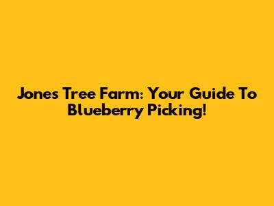 Jones Tree Farm: Your Guide To Blueberry Picking!