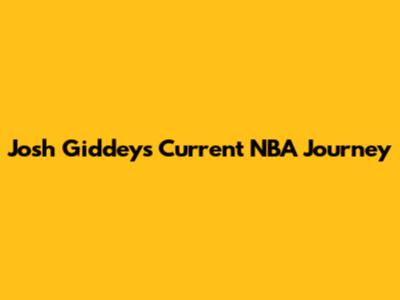 Josh Giddey's Current NBA Journey