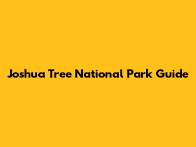 Joshua Tree National Park Guide