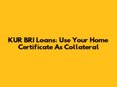KUR BRI Loans: Use Your Home Certificate As Collateral
