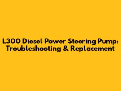L300 Diesel Power Steering Pump: Troubleshooting & Replacement