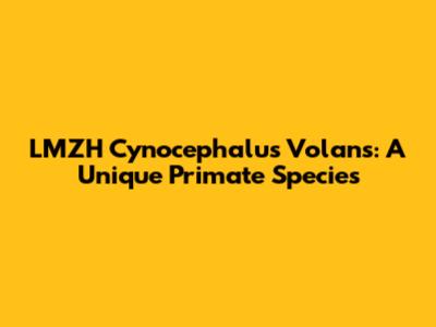 LMZH Cynocephalus Volans: A Unique Primate Species