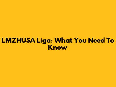 LMZHUSA Liga: What You Need To Know