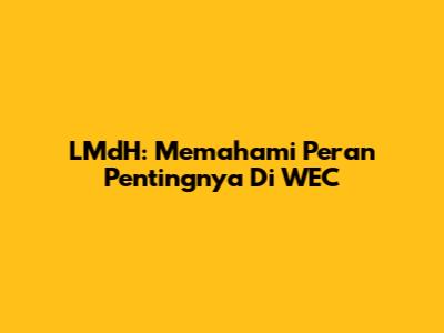 LMdH: Memahami Peran Pentingnya Di WEC