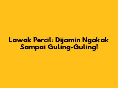 Lawak Percil: Dijamin Ngakak Sampai Guling-Guling!