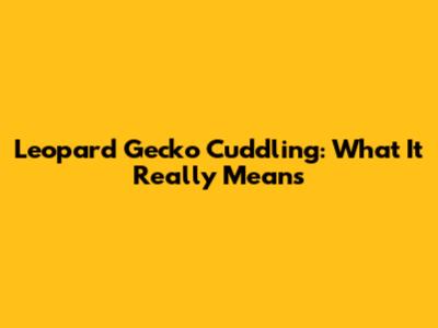 Leopard Gecko Cuddling: What It Really Means
