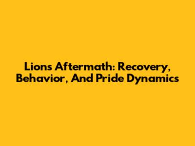 Lion's Aftermath: Recovery, Behavior, And Pride Dynamics