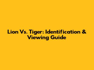 Lion Vs. Tiger: Identification & Viewing Guide