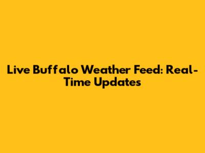 Live Buffalo Weather Feed: Real-Time Updates