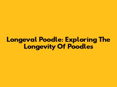 Longeval Poodle: Exploring The Longevity Of Poodles