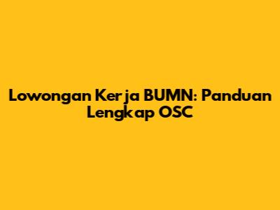 Lowongan Kerja BUMN: Panduan Lengkap OSC