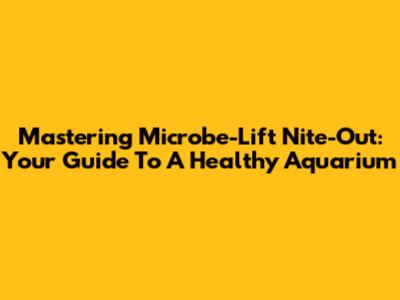 Mastering Microbe-Lift Nite-Out: Your Guide To A Healthy Aquarium