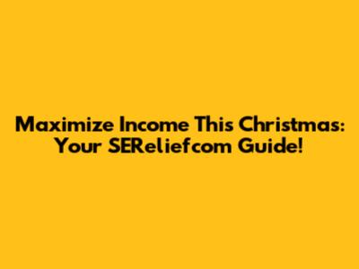 Maximize Income This Christmas: Your SEReliefcom Guide!