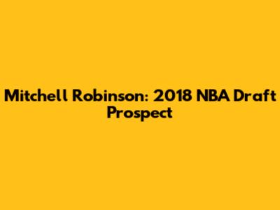 Mitchell Robinson: 2018 NBA Draft Prospect