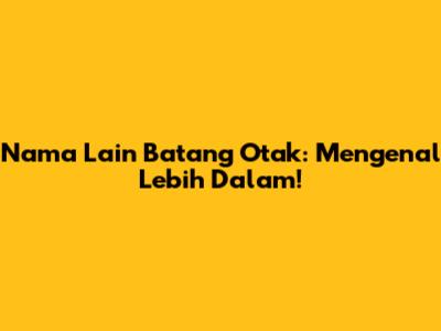 Nama Lain Batang Otak: Mengenal Lebih Dalam!