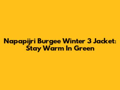 Napapijri Burgee Winter 3 Jacket: Stay Warm In Green