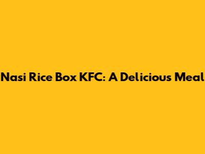 Nasi Rice Box KFC: A Delicious Meal