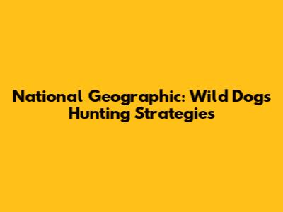 National Geographic: Wild Dogs Hunting Strategies