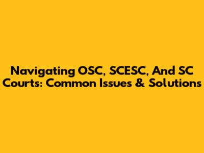 Navigating OSC, SCESC, And SC Courts: Common Issues & Solutions
