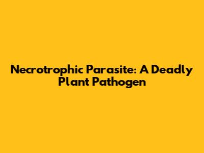 Necrotrophic Parasite: A Deadly Plant Pathogen