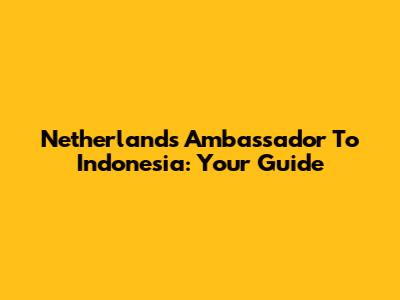 Netherlands Ambassador To Indonesia: Your Guide