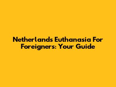 Netherlands Euthanasia For Foreigners: Your Guide