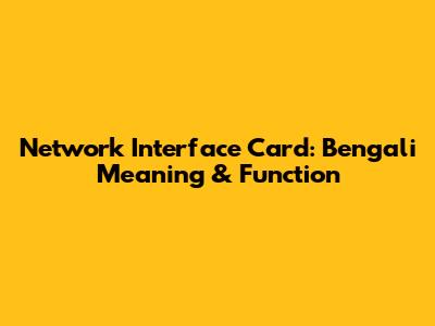 Network Interface Card: Bengali Meaning & Function