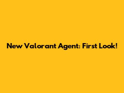 New Valorant Agent: First Look!