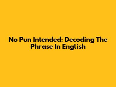 No Pun Intended: Decoding The Phrase In English