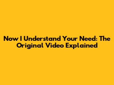 Now I Understand Your Need: The Original Video Explained