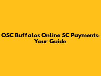 OSC Buffalo's Online SC Payments: Your Guide