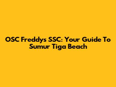 OSC Freddy's SSC: Your Guide To Sumur Tiga Beach
