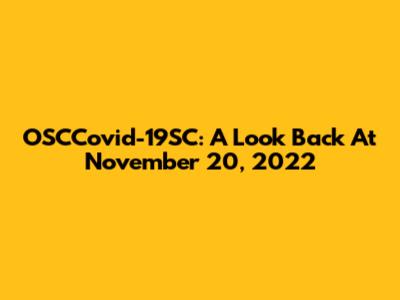 OSCCovid-19SC: A Look Back At November 20, 2022