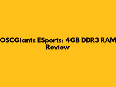 OSCGiants ESports: 4GB DDR3 RAM Review