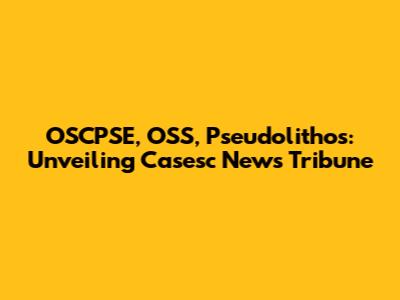 OSCPSE, OSS, Pseudolithos: Unveiling Casesc News Tribune