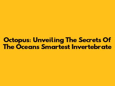 Octopus: Unveiling The Secrets Of The Ocean's Smartest Invertebrate