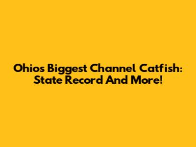 Ohio's Biggest Channel Catfish: State Record And More!