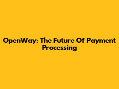 OpenWay: The Future Of Payment Processing