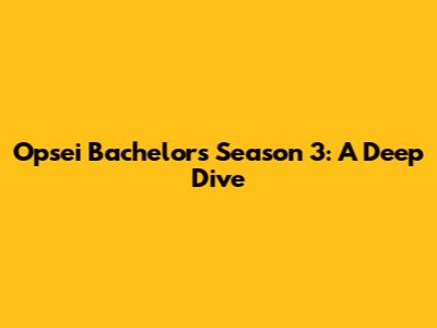 Opsei Bachelor's Season 3: A Deep Dive