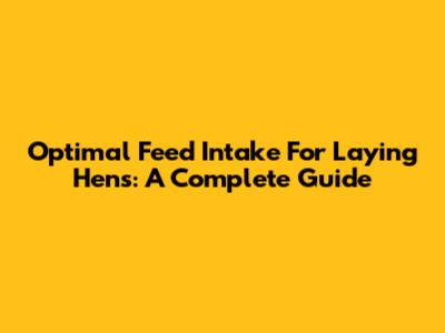 Optimal Feed Intake For Laying Hens: A Complete Guide