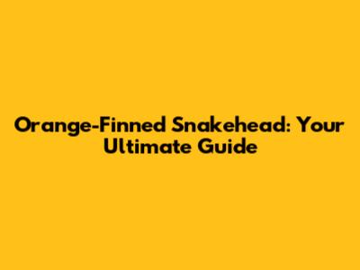 Orange-Finned Snakehead: Your Ultimate Guide